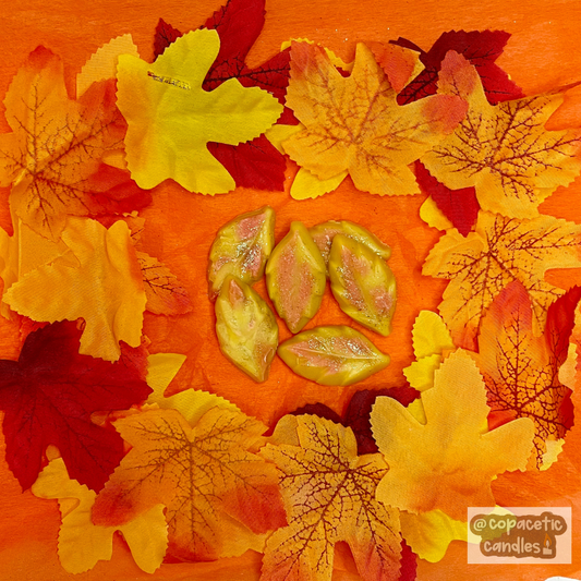 Leaves in Autumn